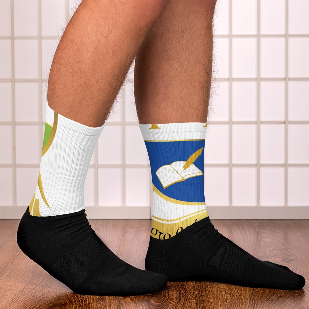 AGXi Shield Black foot socks