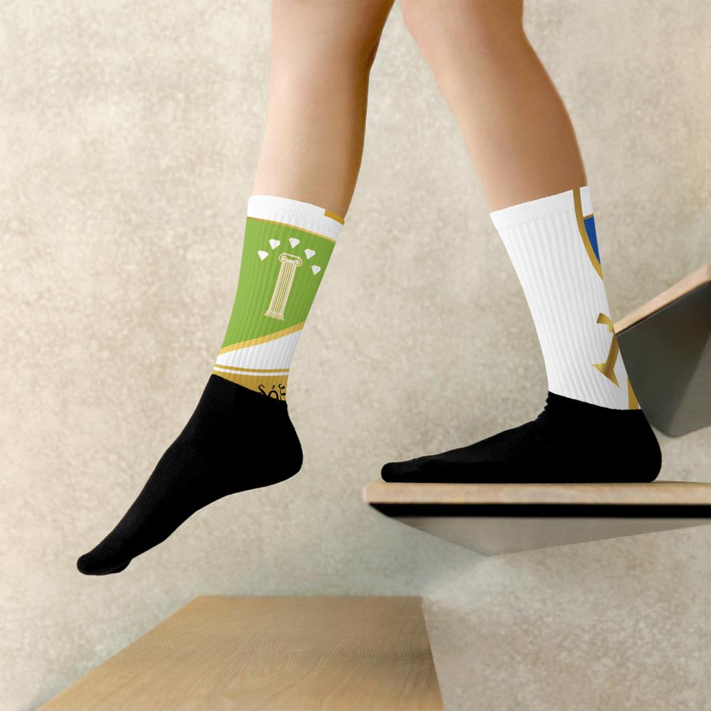 AGXi Shield Black foot socks